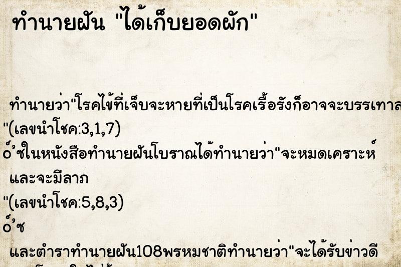 ทำนายฝัน ได้เก็บยอดผัก ทำนายฝัน ได้เก็บยอดผัก