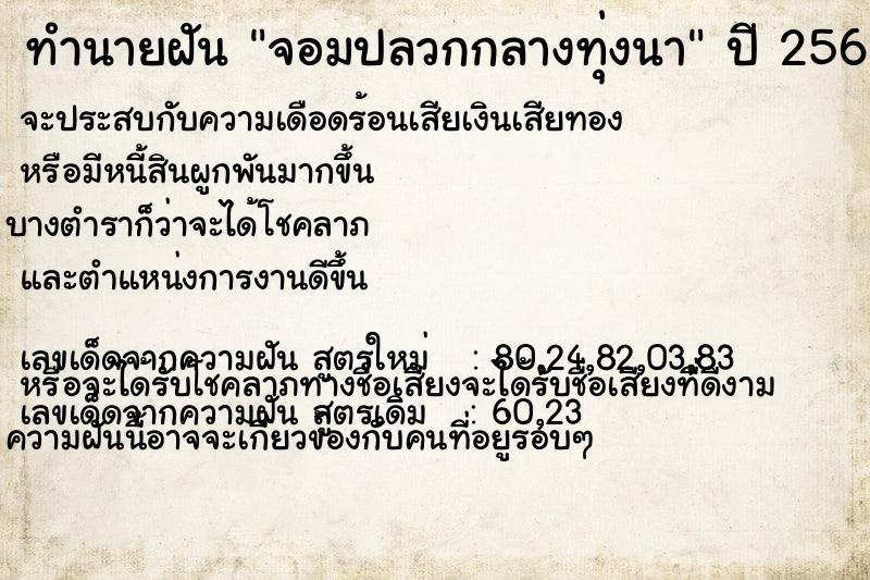 ทำนายฝัน จอมปลวกกลางทุ่งนา ทำนายฝัน จอมปลวกกลางทุ่งนา