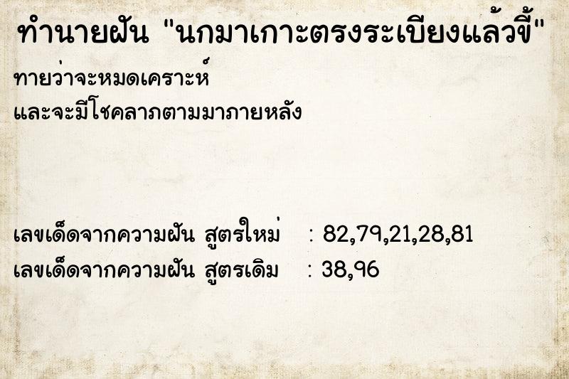 ทำนายฝันนกมาเกาะตรงระเบียงแล้วขี้ ทำนายฝันทำนายฝันนกมาเกาะตรงระเบียงแล้วขี้