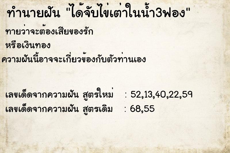 ทำนายฝันทำนายฝันได้จับไข่เต่าในน้ำ3ฟอง