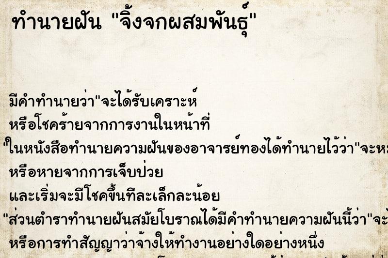 ทำนายฝันจิ้งจกผสมพันธุ์ ทำนายฝันทำนายฝันจิ้งจกผสมพันธุ์