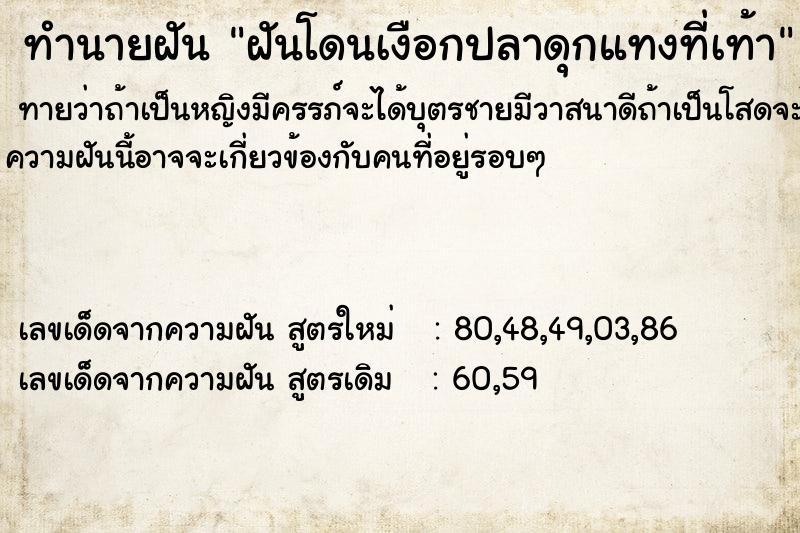 ทำนายฝัน ฝันโดนเงือกปลาดุกแทงที่เท้า ทำนายฝัน ฝันโดนเงือกปลาดุกแทงที่เท้า