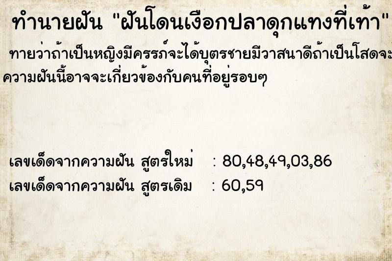 ทำนายฝัน ฝันโดนเงือกปลาดุกแทงที่เท้า ตำราโบราณ แม่นที่สุดในโลก