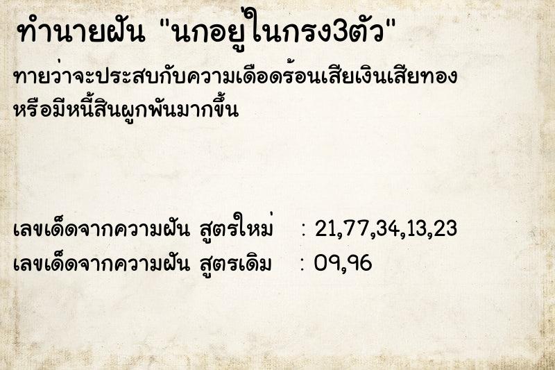 ทำนายฝันนกอยู่ในกรง3ตัว ทำนายฝันทำนายฝันนกอยู่ในกรง3ตัว