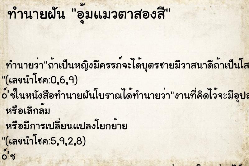 ทำนายฝัน อุ้มแมวตาสองสี ทำนายฝัน อุ้มแมวตาสองสี