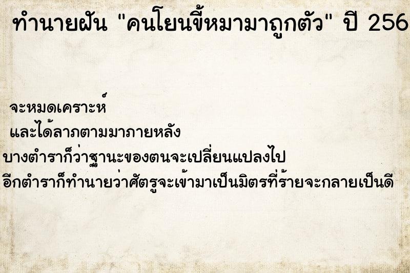 ทำนายฝัน คนโยนขี้หมามาถูกตัว ตำราโบราณ แม่นที่สุดในโลก