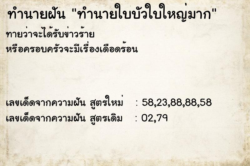 ทำนายฝัน ทำนายใบบัวใบใหญ่มาก ทำนายฝัน ทำนายใบบัวใบใหญ่มาก