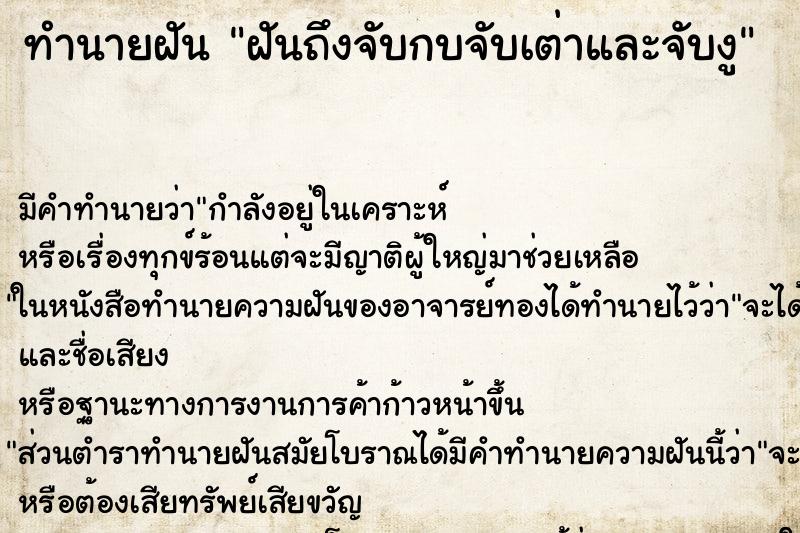 ทำนายฝันทำนายฝันฝันถึงจับกบจับเต่าและจับงู