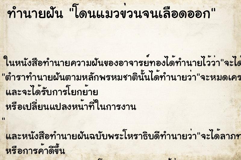 ทำนายฝันทำนายฝันโดนแมวข่วนจนเลือดออก