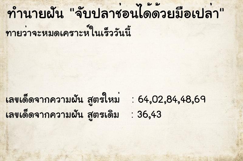 ทำนายฝันจับปลาช่อนได้ด้วยมือเปล่า ทำนายฝันทำนายฝันจับปลาช่อนได้ด้วยมือเปล่า