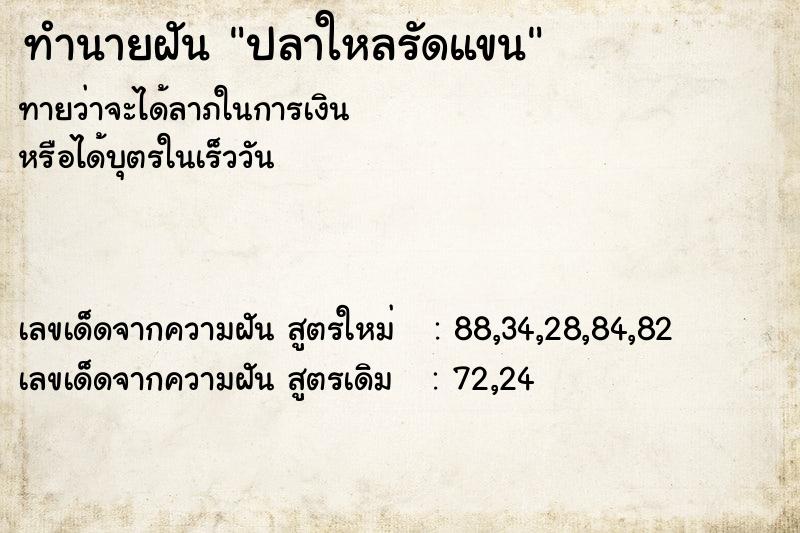 ทำนายฝันปลาใหลรัดแขน ทำนายฝันทำนายฝันปลาใหลรัดแขน