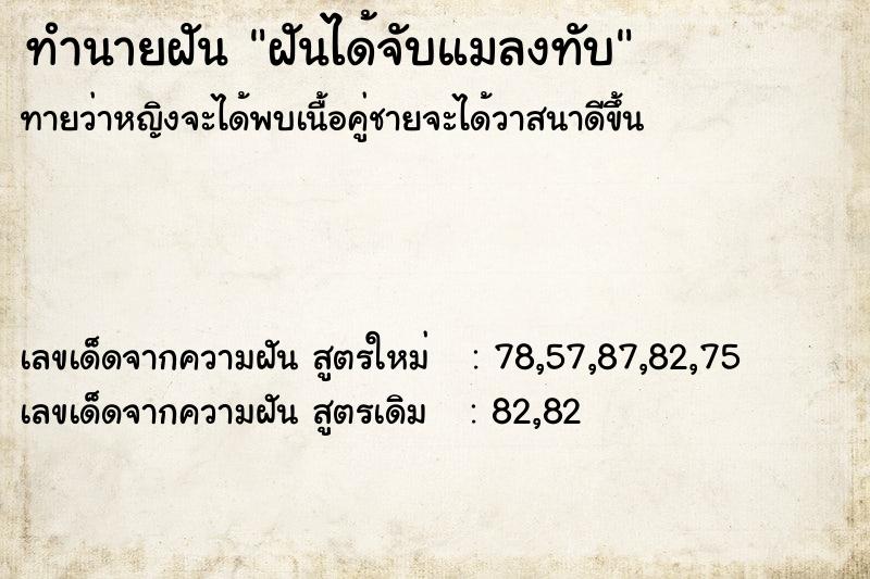 ทำนายฝันฝันได้จับแมลงทับ ทำนายฝันทำนายฝันฝันได้จับแมลงทับ
