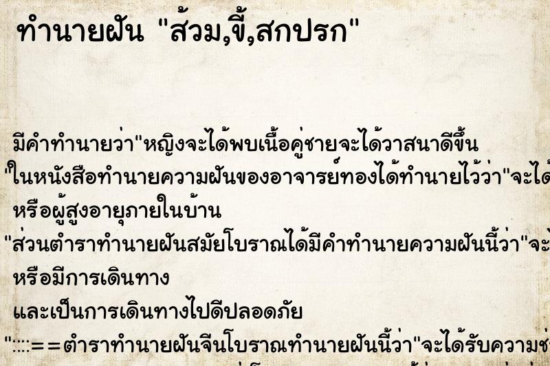 ทำนายฝัน ส้วม,ขี้,สกปรก ทำนายฝัน ส้วม,ขี้,สกปรก