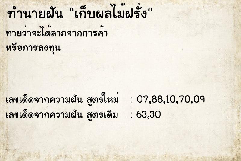 ทำนายฝันเก็บผลไม้ฝรั่ง ทำนายฝันทำนายฝันเก็บผลไม้ฝรั่ง