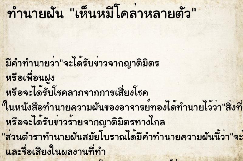ทำนายฝัน เห็นหมีโคล่าหลายตัว ทำนายฝัน เห็นหมีโคล่าหลายตัว