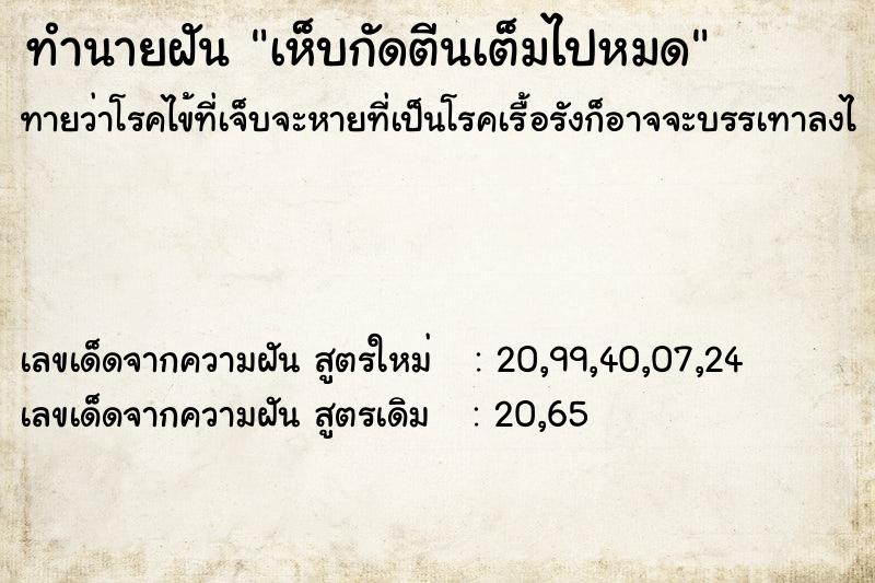 ทำนายฝันทำนายฝันเห็บกัดตีนเต็มไปหมด