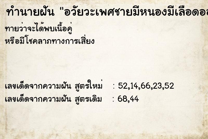 ทำนายฝันทำนายฝันอวัยวะเพศชายมีหนองมีเลือดออกมา