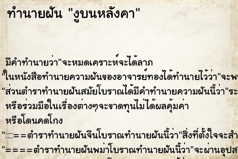 ทำนายฝันงูบนหลังคา ทำนายฝันทำนายฝันงูบนหลังคา