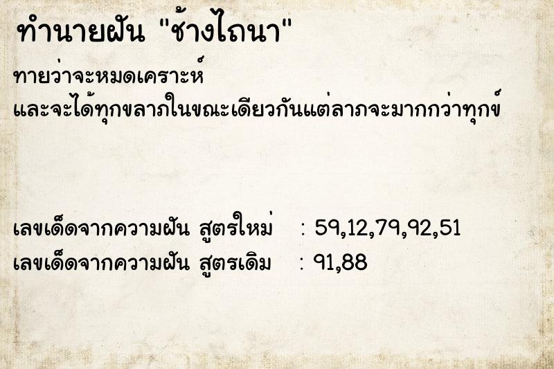 ทำนายฝันช้างไถนา ทำนายฝันทำนายฝันช้างไถนา