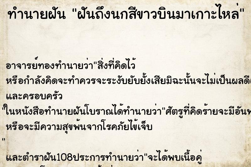 ทำนายฝันฝันถึงนกสีขาวบินมาเกาะไหล่ ทำนายฝันทำนายฝันฝันถึงนกสีขาวบินมาเกาะไหล่