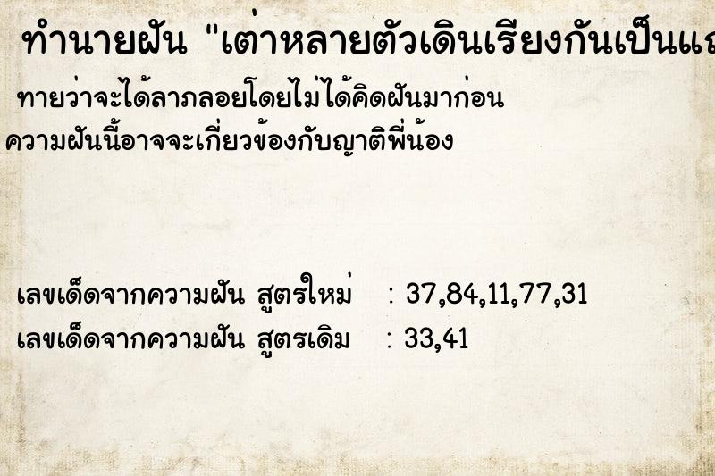 ทำนายฝันเต่าหลายตัวเดินเรียงกันเป็นแถวในบ้าน ทำนายฝันทำนายฝันเต่าหลายตัวเดินเรียงกันเป็นแถวในบ้าน