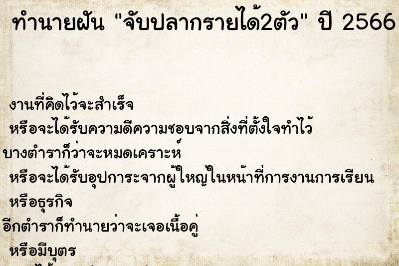 ทำนายฝันทำนายฝันจับปลากรายได้2ตัว