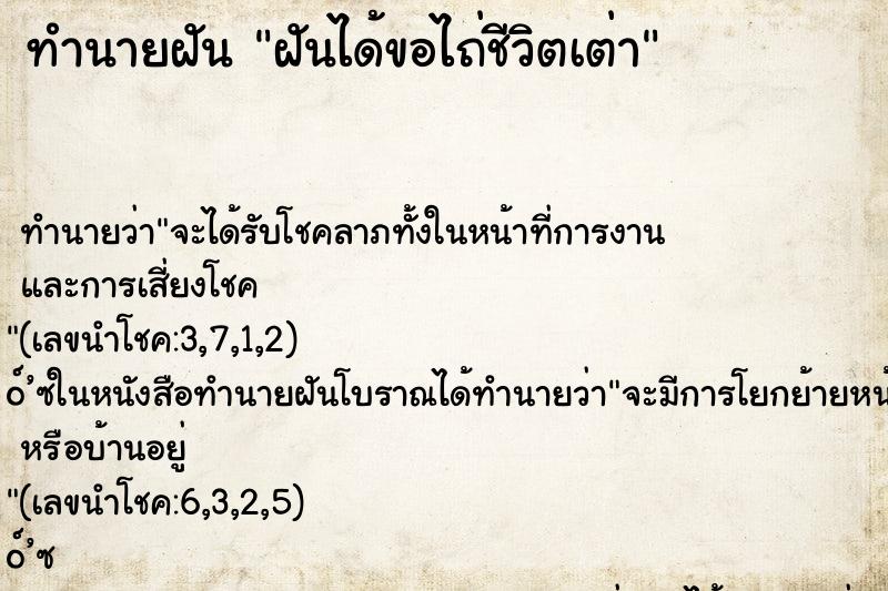 ทำนายฝัน ฝันได้ขอไถ่ชีวิตเต่า ทำนายฝัน ฝันได้ขอไถ่ชีวิตเต่า
