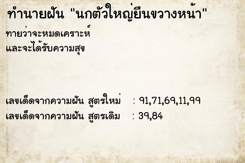 ทำนายฝัน นกตัวใหญ่ยืนขวางหน้า ทำนายฝัน นกตัวใหญ่ยืนขวางหน้า