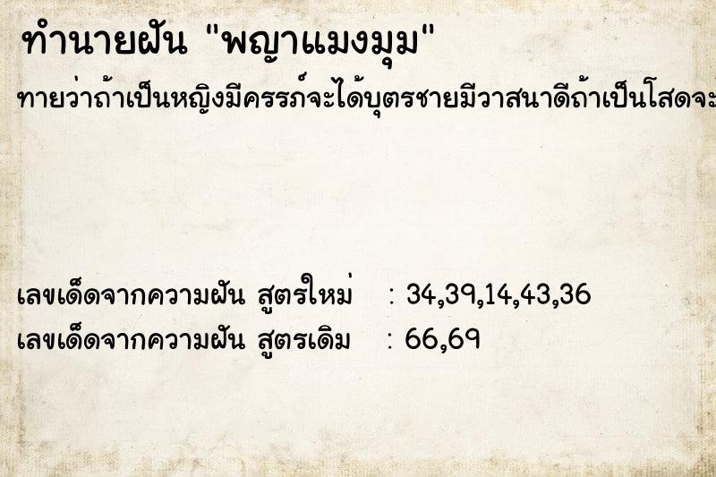 ทำนายฝันทำนายฝันพญาแมงมุม