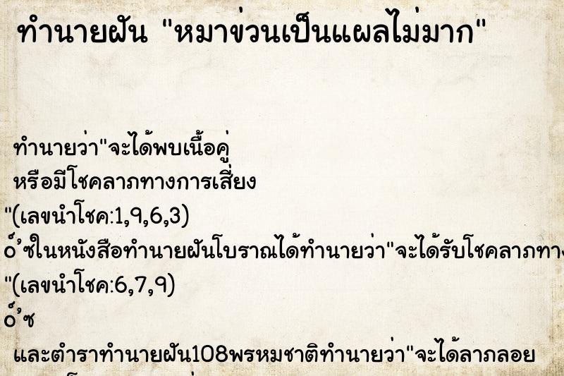 ทำนายฝันหมาข่วนเป็นแผลไม่มาก ทำนายฝันทำนายฝันหมาข่วนเป็นแผลไม่มาก