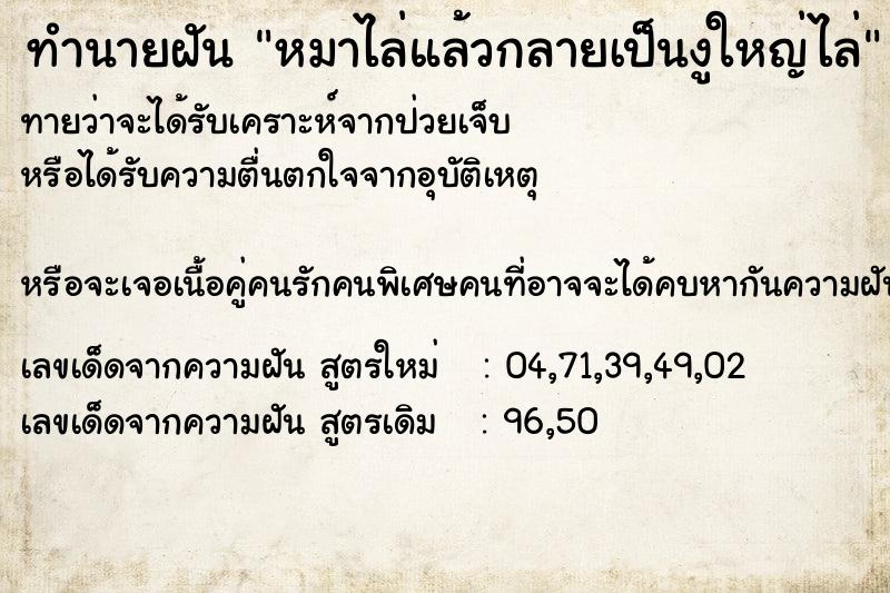 ทำนายฝันหมาไล่แล้วกลายเป็นงูใหญ่ไล่ ทำนายฝันทำนายฝันหมาไล่แล้วกลายเป็นงูใหญ่ไล่