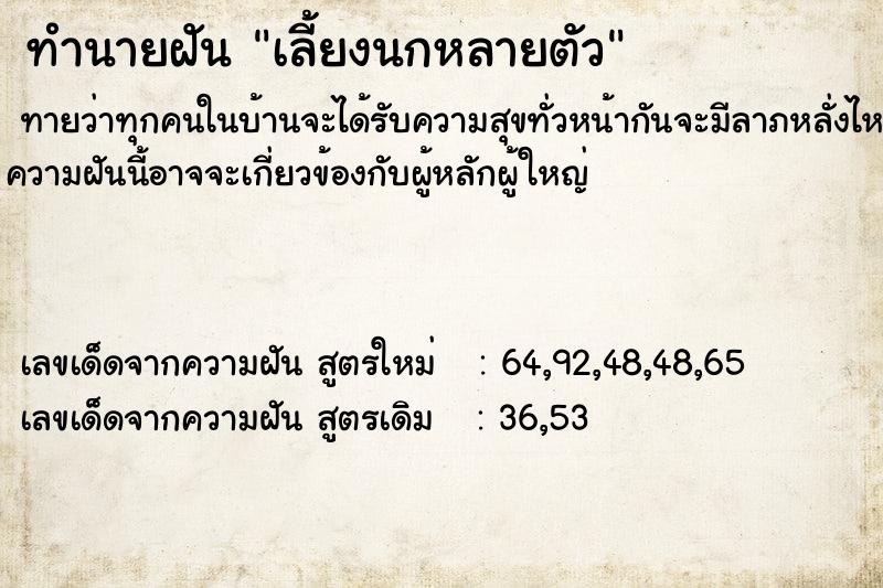 ทำนายฝันทำนายฝันเลี้ยงนกหลายตัว