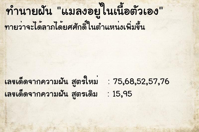 ทำนายฝันทำนายฝันแมลงอยู่ในเนื้อตัวเอง