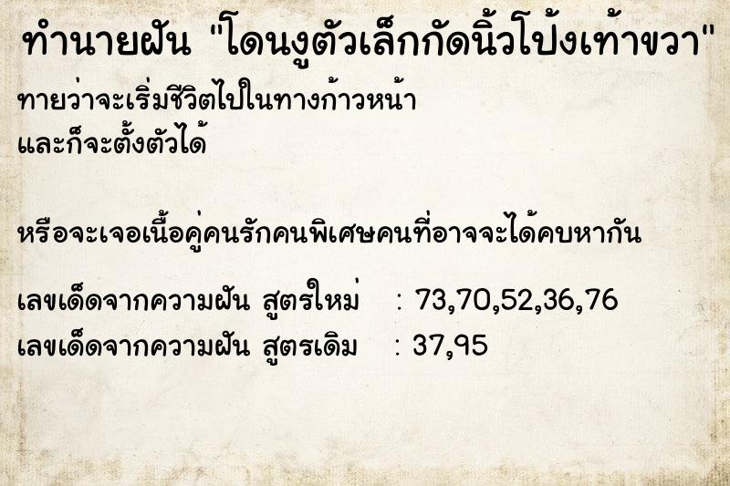 ทำนายฝัน โดนงูตัวเล็กกัดนิ้วโป้งเท้าขวา ทำนายฝัน โดนงูตัวเล็กกัดนิ้วโป้งเท้าขวา