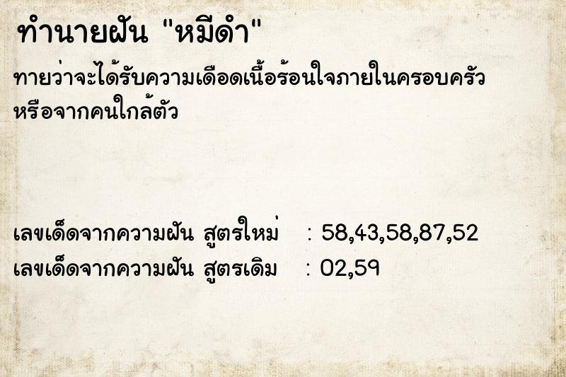 ทำนายฝัน หมีดำ ตำราโบราณ แม่นที่สุดในโลก