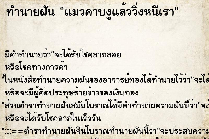 ทำนายฝันแมวคาบงูแล้ววิ่งหนีเรา ทำนายฝันทำนายฝันแมวคาบงูแล้ววิ่งหนีเรา
