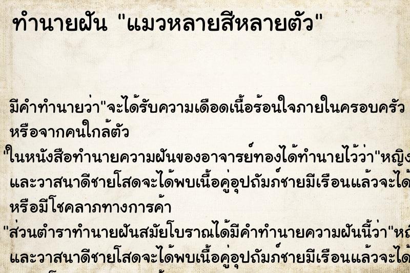 ทำนายฝัน แมวหลายสีหลายตัว ทำนายฝัน แมวหลายสีหลายตัว