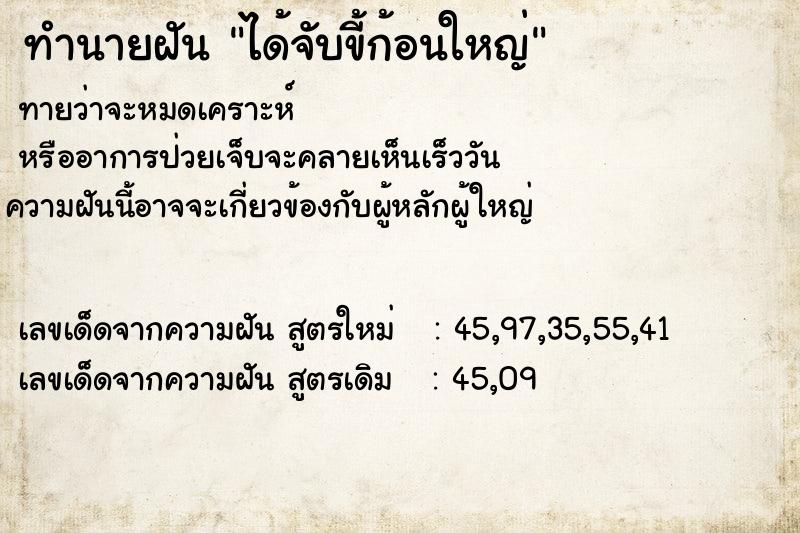 ทำนายฝันทำนายฝันได้จับขี้ก้อนใหญ่