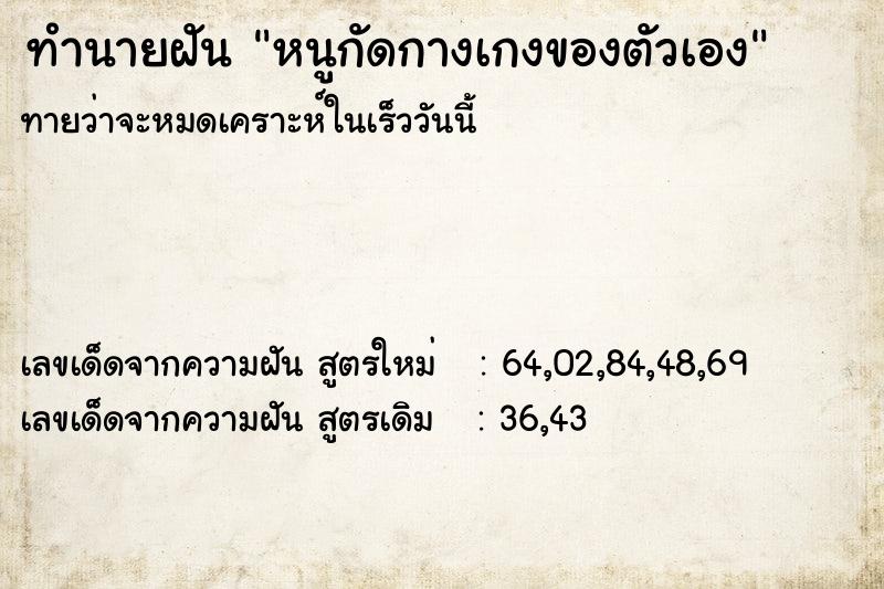 ทำนายฝัน หนูกัดกางเกงของตัวเอง