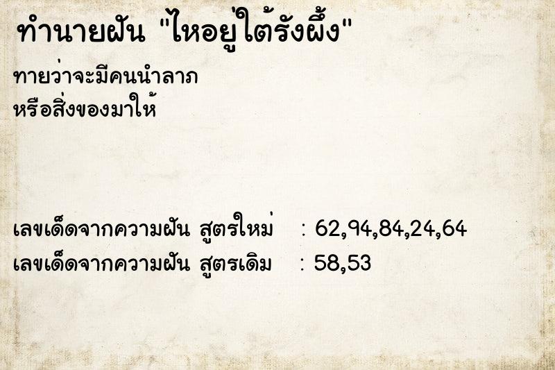 ทำนายฝันทำนายฝันไหอยู่ใต้รังผึ้ง