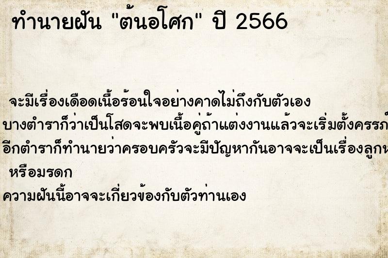 ทำนายฝันต้นอโศก ทำนายฝันทำนายฝันต้นอโศก