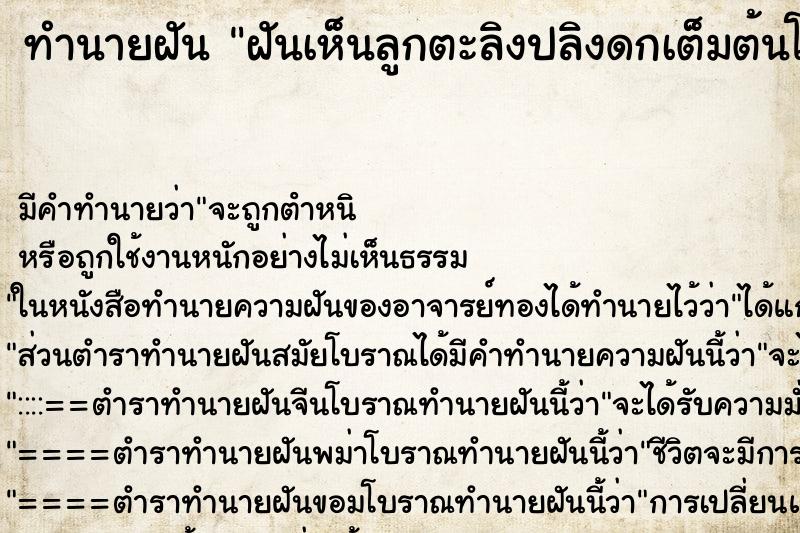 ทำนายฝัน ฝันเห็นลูกตะลิงปลิงดกเต็มต้นโคนต้นมีผลใหญ่ ทำนายฝัน ฝันเห็นลูกตะลิงปลิงดกเต็มต้นโคนต้นมีผลใหญ่