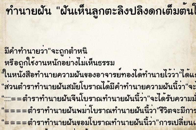 ทำนายฝัน ฝันเห็นลูกตะลิงปลิงดกเต็มต้นโคนต้นมีผลใหญ่ ตำราโบราณ แม่นที่สุดในโลก