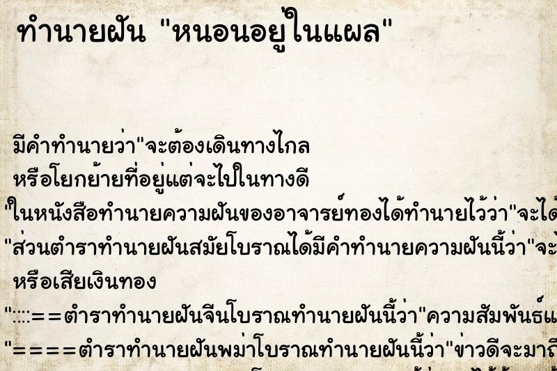 ทำนายฝันทำนายฝันหนอนอยู่ในแผล