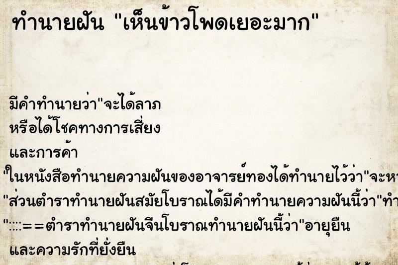 ทำนายฝัน เห็นข้าวโพดเยอะมาก ทำนายฝัน เห็นข้าวโพดเยอะมาก
