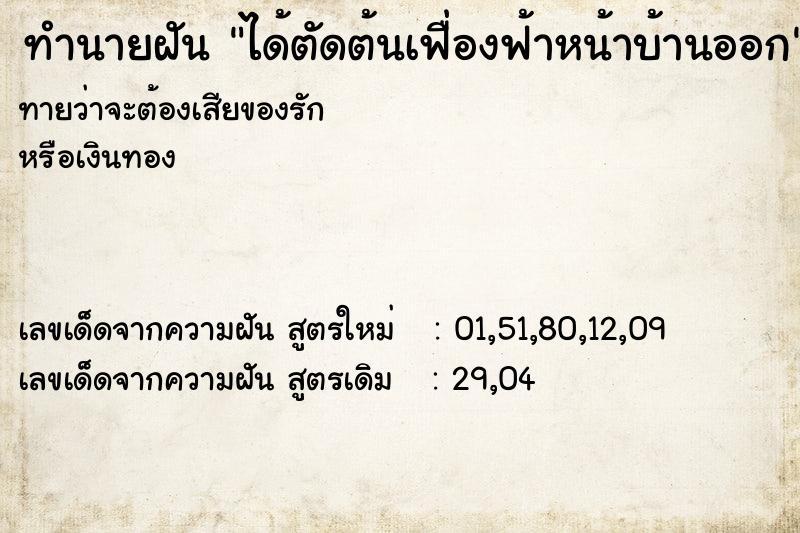 ทำนายฝัน ได้ตัดต้นเฟื่องฟ้าหน้าบ้านออก ทำนายฝัน ได้ตัดต้นเฟื่องฟ้าหน้าบ้านออก