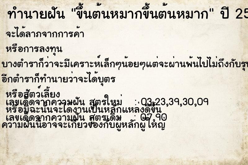 ทำนายฝันขึ้นต้นหมากขึ้นต้นหมาก ทำนายฝันทำนายฝันขึ้นต้นหมากขึ้นต้นหมาก