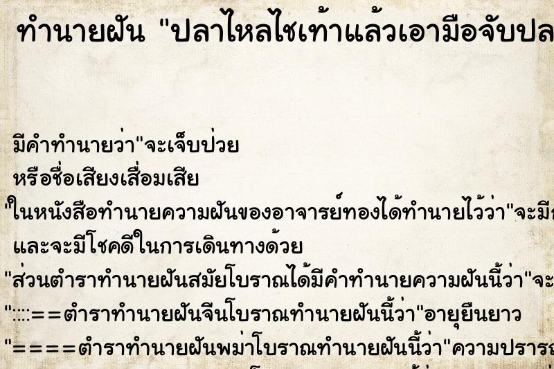 ทำนายฝันปลาไหลไชเท้าแล้วเอามือจับปลาไหลออก ทำนายฝันทำนายฝันปลาไหลไชเท้าแล้วเอามือจับปลาไหลออก