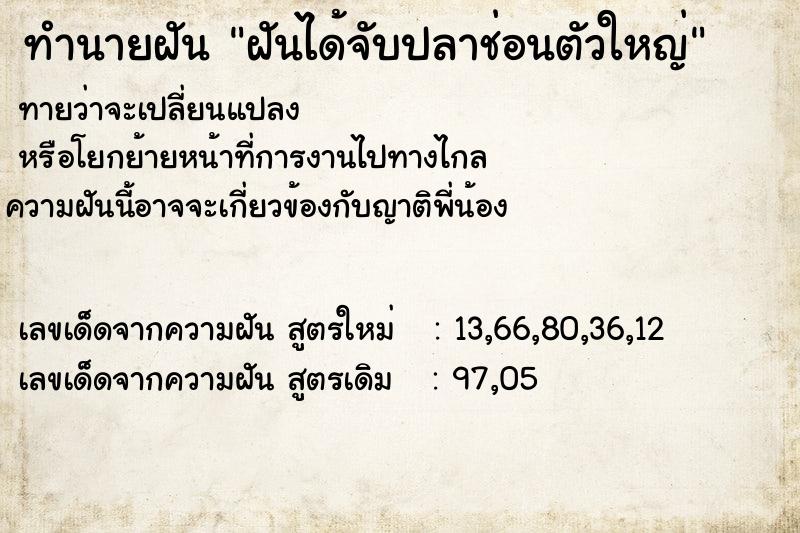 ทำนายฝันฝันได้จับปลาช่อนตัวใหญ่ ทำนายฝันทำนายฝันฝันได้จับปลาช่อนตัวใหญ่