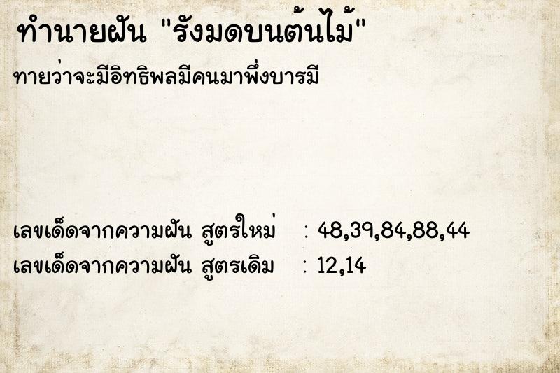 ทำนายฝันทำนายฝันรังมดบนต้นไม้